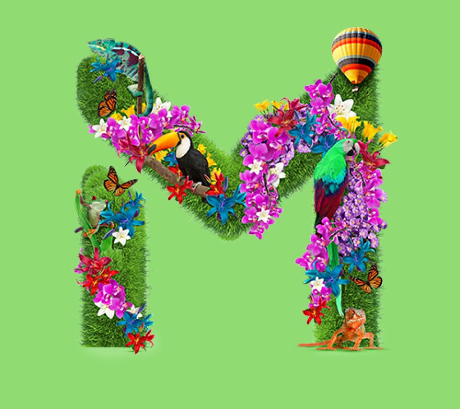 MagnaPrint® ECO Pigmente